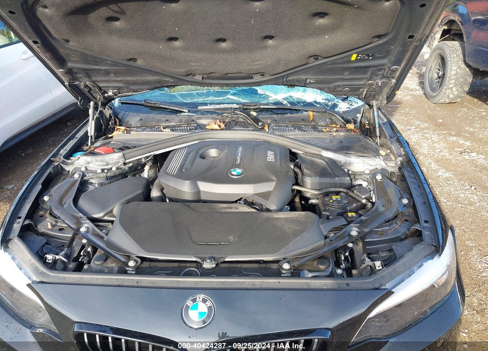 2017 BMW 230I XDRIVE VIN: WBA2M9C33HV717835