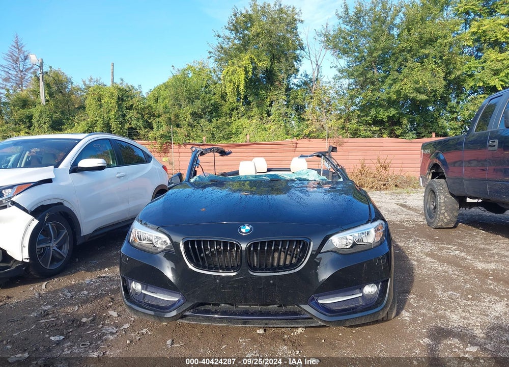 2017 BMW 230I XDRIVE VIN: WBA2M9C33HV717835