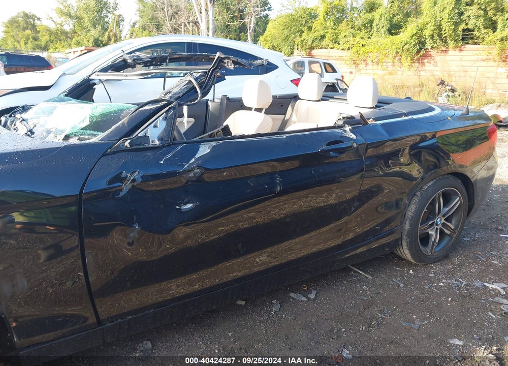 2017 BMW 230I XDRIVE VIN: WBA2M9C33HV717835