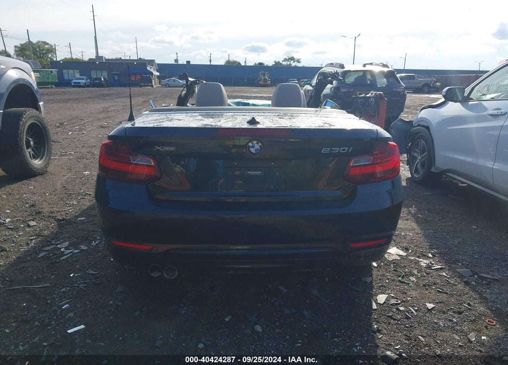 2017 BMW 230I XDRIVE VIN: WBA2M9C33HV717835