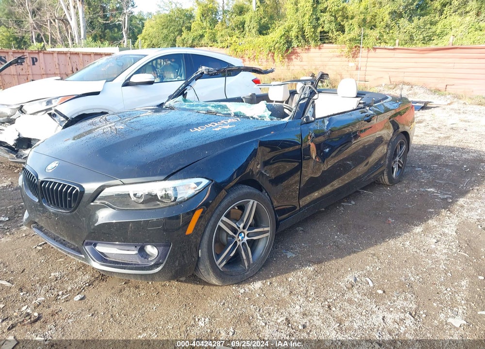 2017 BMW 230I XDRIVE VIN: WBA2M9C33HV717835