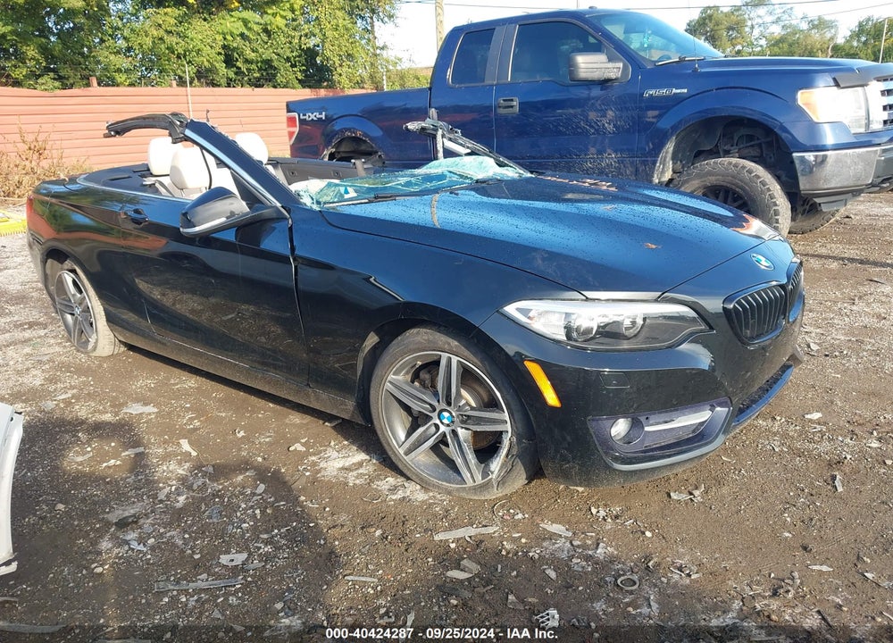 2017 BMW 230I XDRIVE VIN: WBA2M9C33HV717835