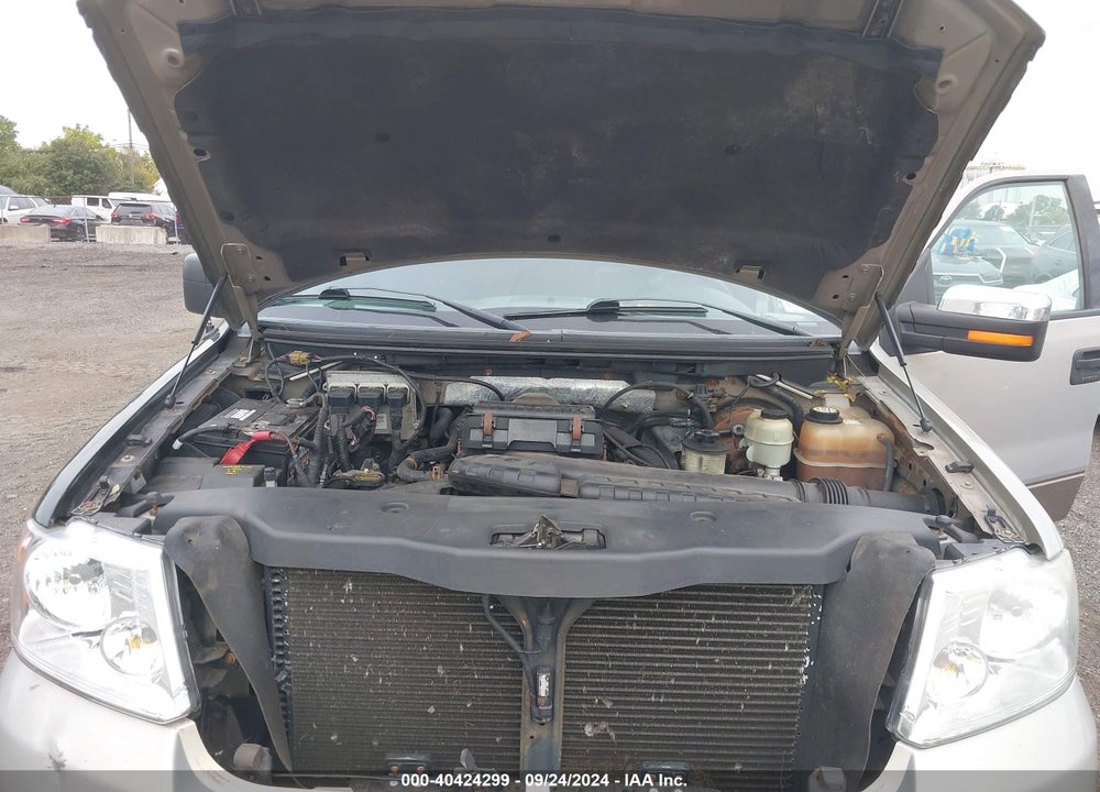 2006 FORD F-150 FX4/LARIAT/XL/XLT VIN: 1FTPX14596KD62895