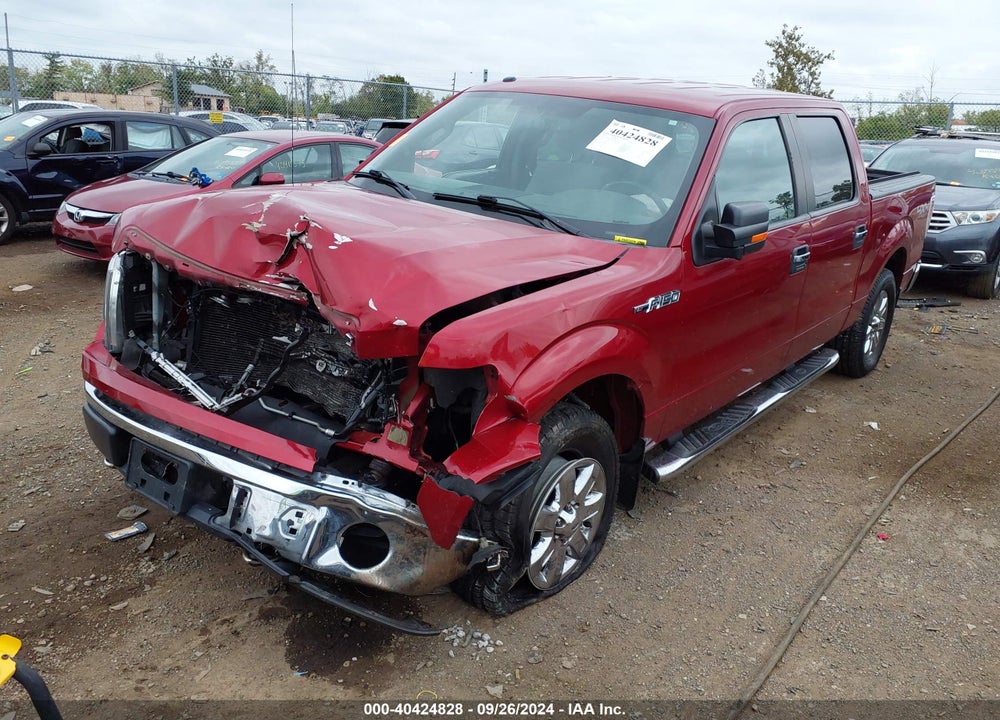 2013 FORD F-150 XLT VIN: 1FTFW1EF3DKE01466