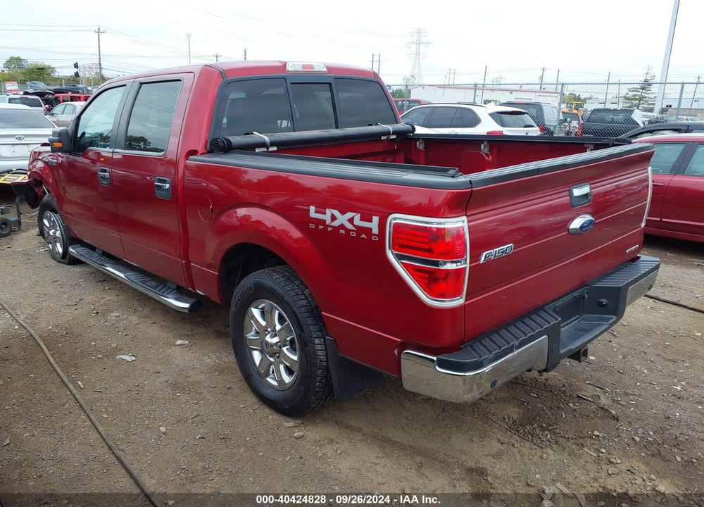 2013 FORD F-150 XLT VIN: 1FTFW1EF3DKE01466