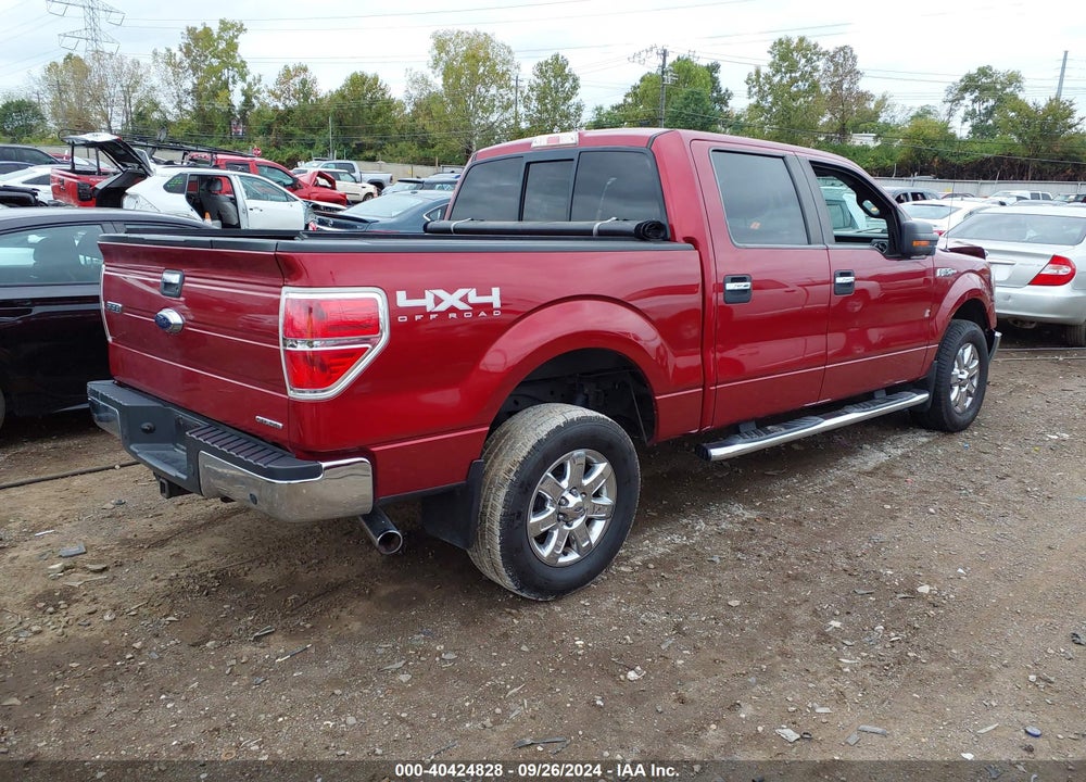2013 FORD F-150 XLT VIN: 1FTFW1EF3DKE01466