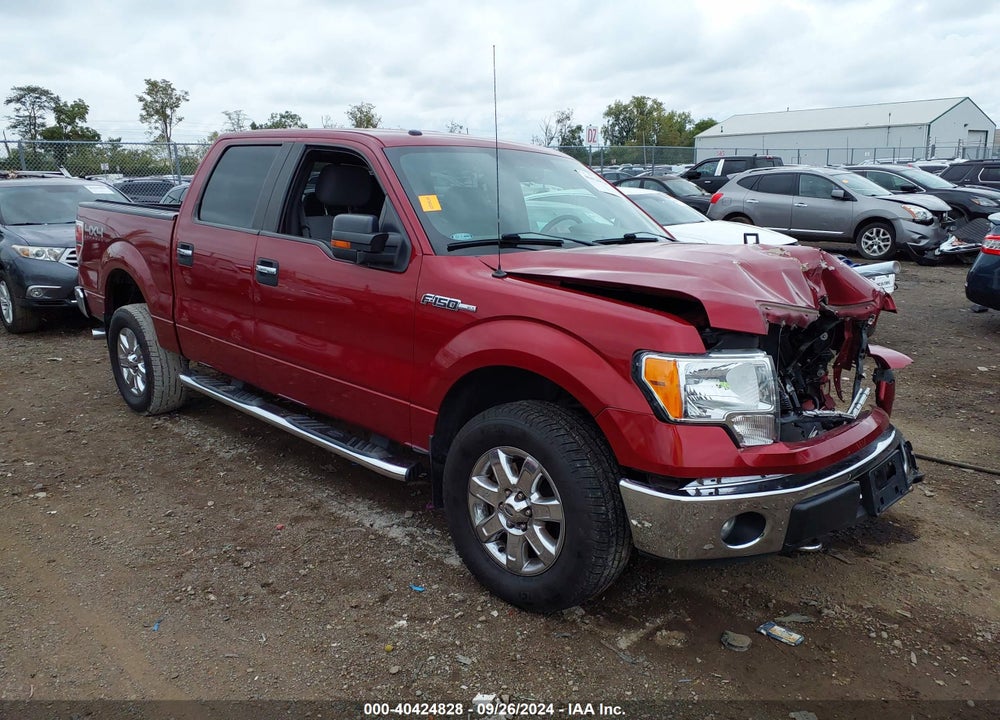 2013 FORD F-150 XLT VIN: 1FTFW1EF3DKE01466