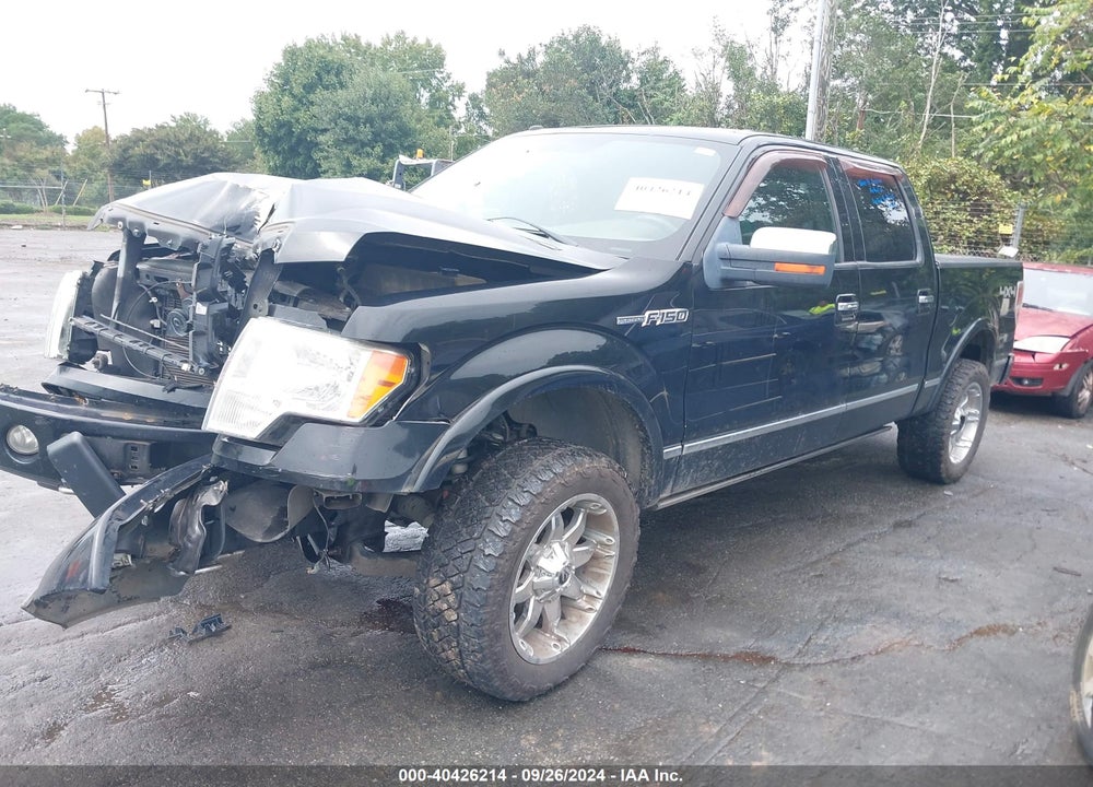 2009 FORD F-150 VIN: 1FTPW14V79FB15908