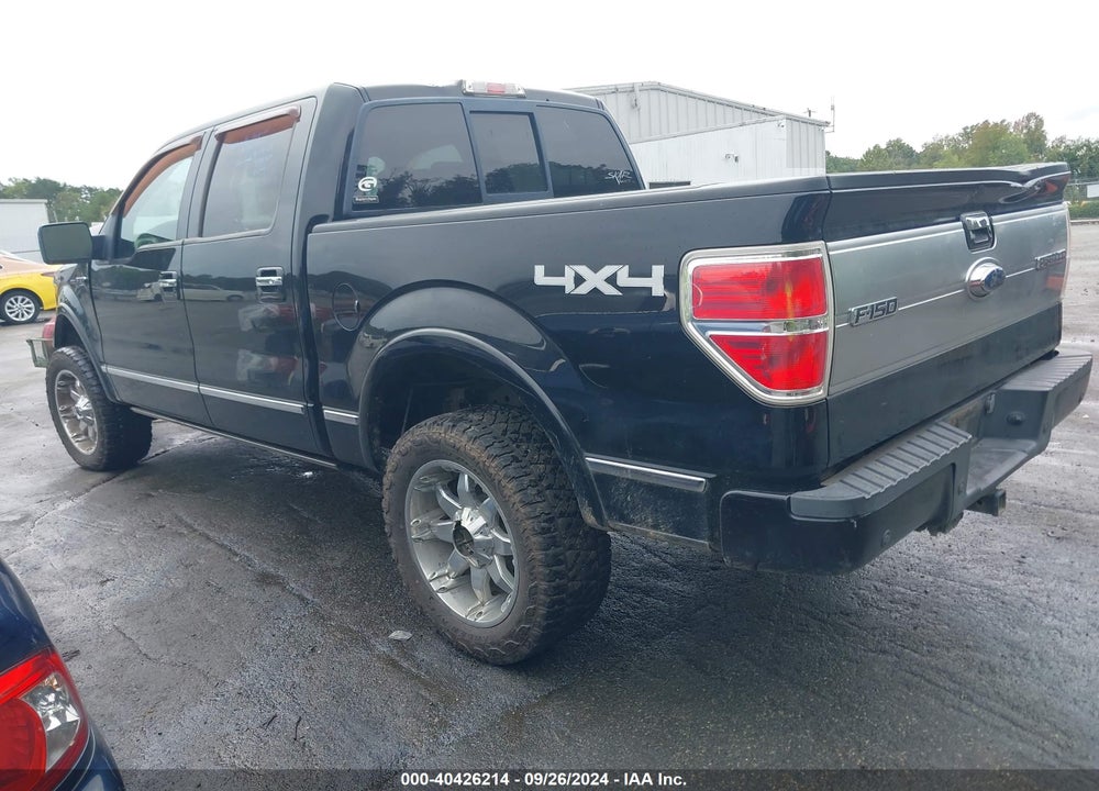 2009 FORD F-150 VIN: 1FTPW14V79FB15908