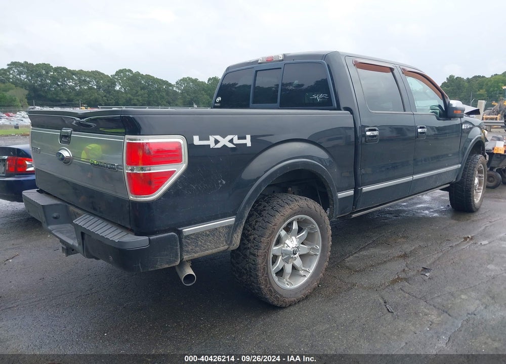 2009 FORD F-150 VIN: 1FTPW14V79FB15908