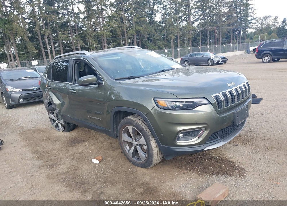2019 JEEP CHEROKEE LIMITED 4X4 VIN: 1C4PJMDN9KD254049