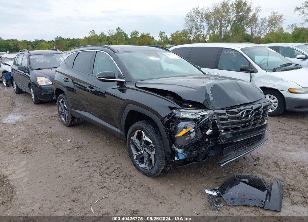2024 HYUNDAI TUCSON LIMITED VIN: 5NMJECDE4RH436151