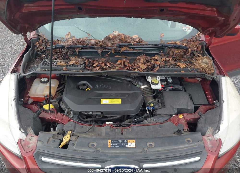 2014 FORD ESCAPE SE VIN: 1FMCU0GX6EUC05547