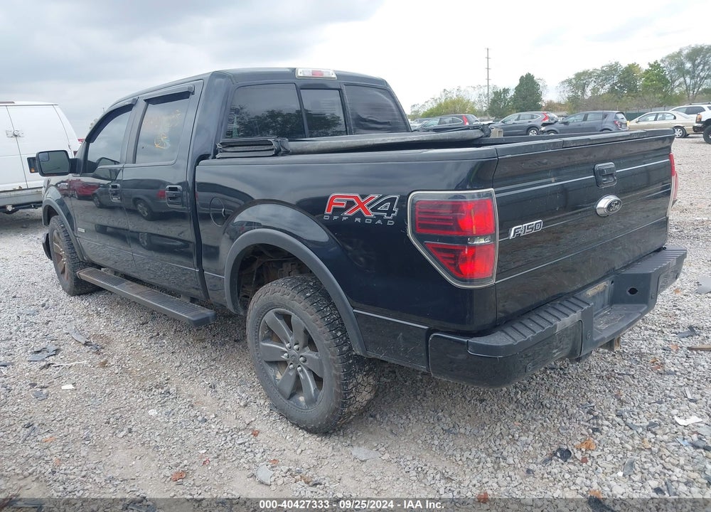 2013 FORD F-150 FX4 VIN: 1FTFW1ET9DFD09471