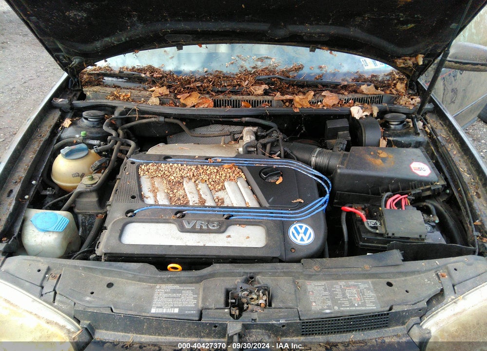2001 VOLKSWAGEN GTI GLX VIN: WVWPG21J91W197682
