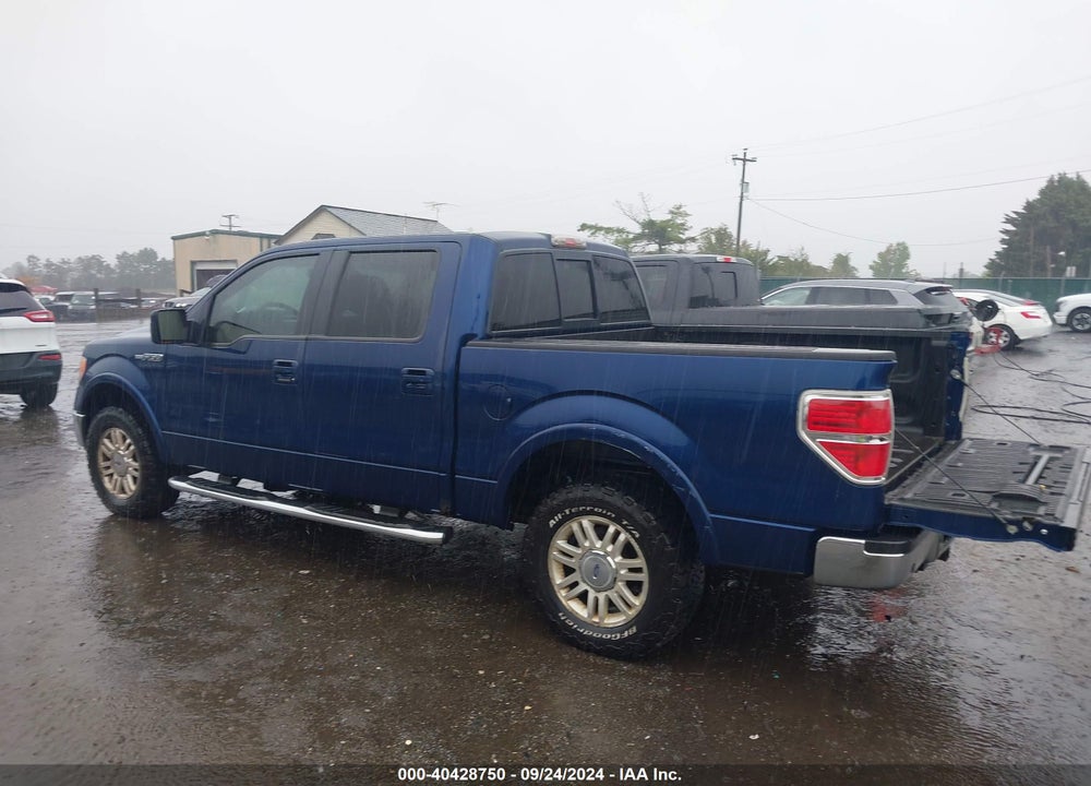 2010 FORD F-150 VIN: 1FTFW1EV1AFC81579