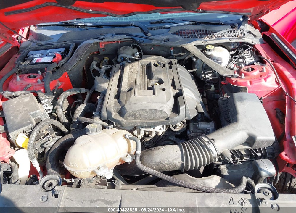 2019 FORD MUSTANG ECOBOOST VIN: 1FATP8UH2K5161811
