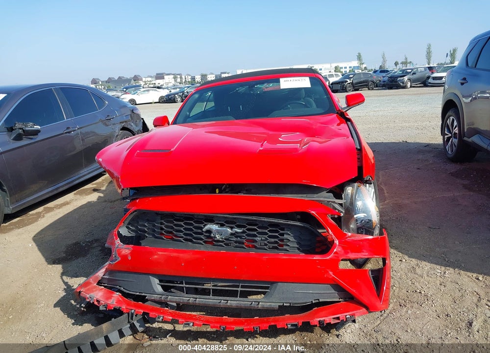 2019 FORD MUSTANG ECOBOOST VIN: 1FATP8UH2K5161811