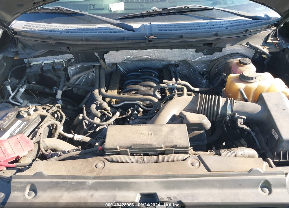 2013 FORD F-150 VIN: 1FTFX1CF3DFA87066