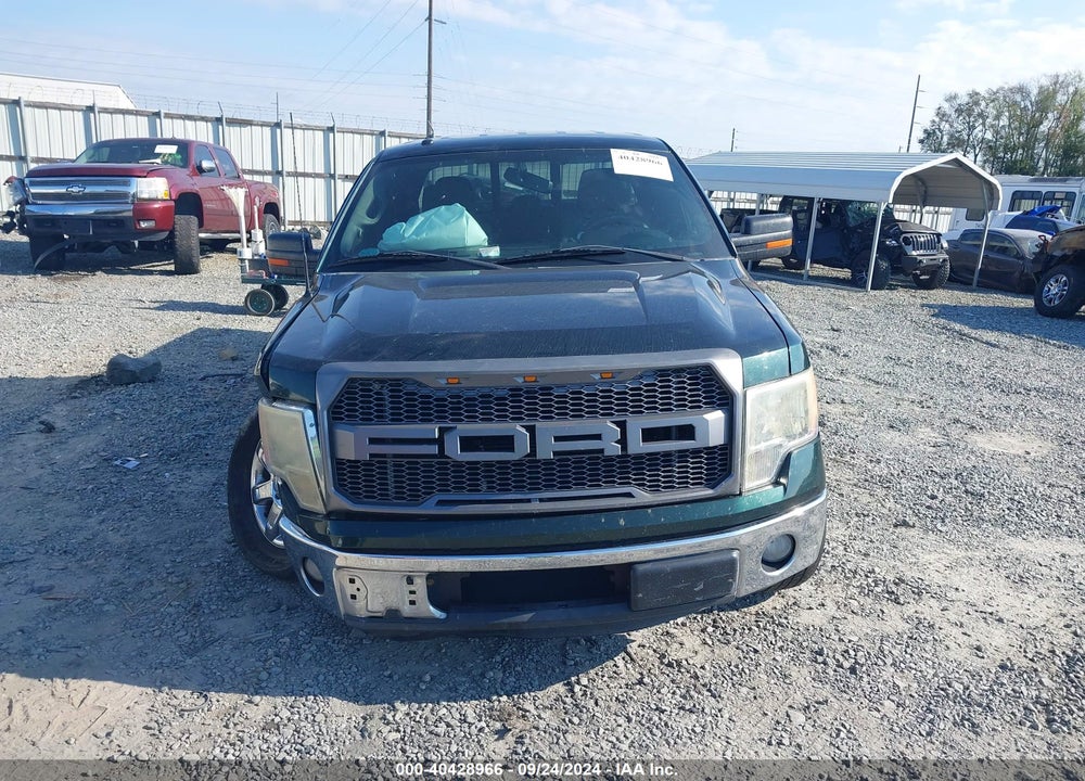 2013 FORD F-150 VIN: 1FTFX1CF3DFA87066
