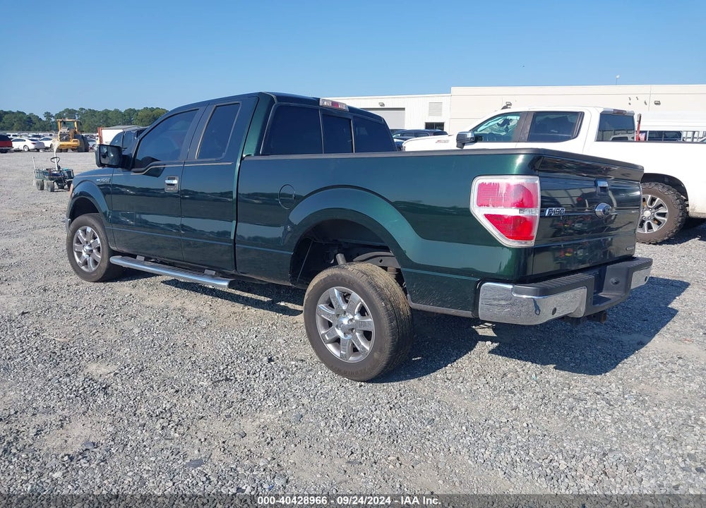 2013 FORD F-150 VIN: 1FTFX1CF3DFA87066