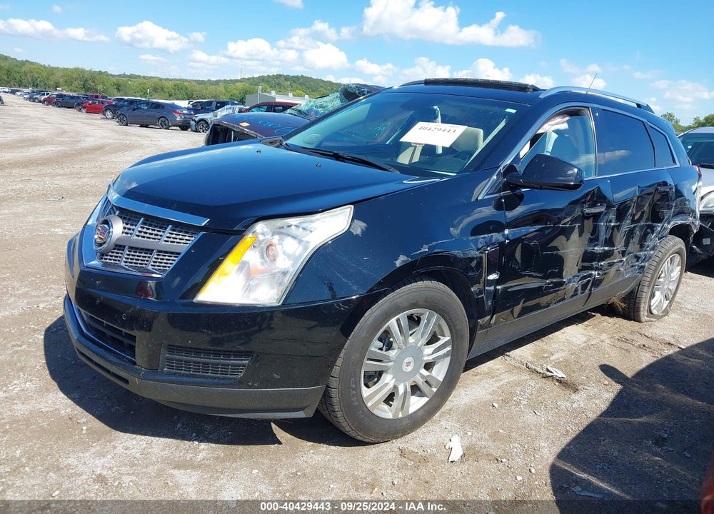 2010 CADILLAC SRX LUXURY COLLECTION VIN: 3GYFNDEY5AS647001