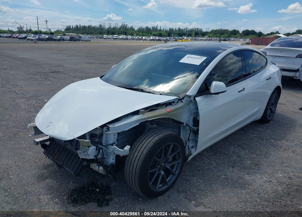 2023 TESLA MODEL 3 REAR-WHEEL DRIVE VIN: 5YJ3E1EA7PF564407