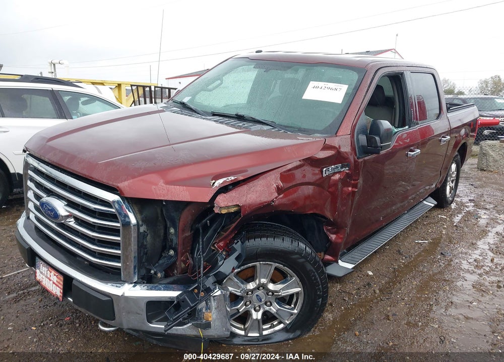 2016 FORD F-150 XLT VIN: 1FTEW1EF8GFB31689