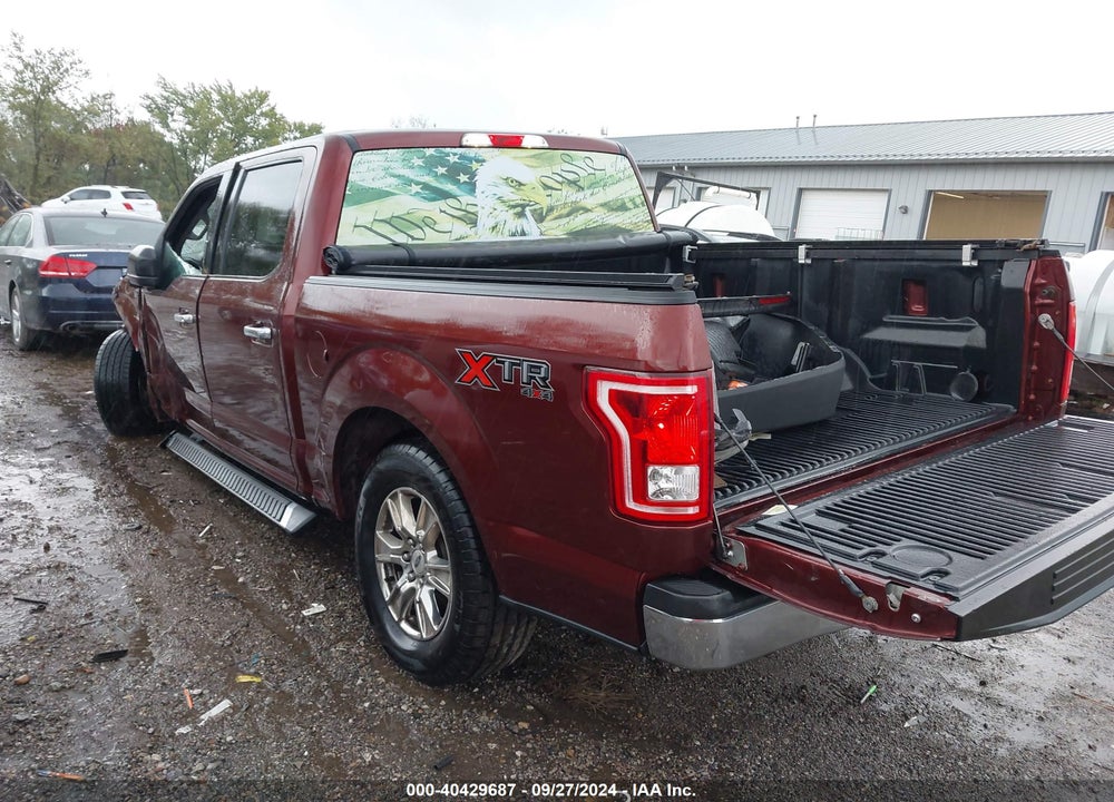 2016 FORD F-150 XLT VIN: 1FTEW1EF8GFB31689