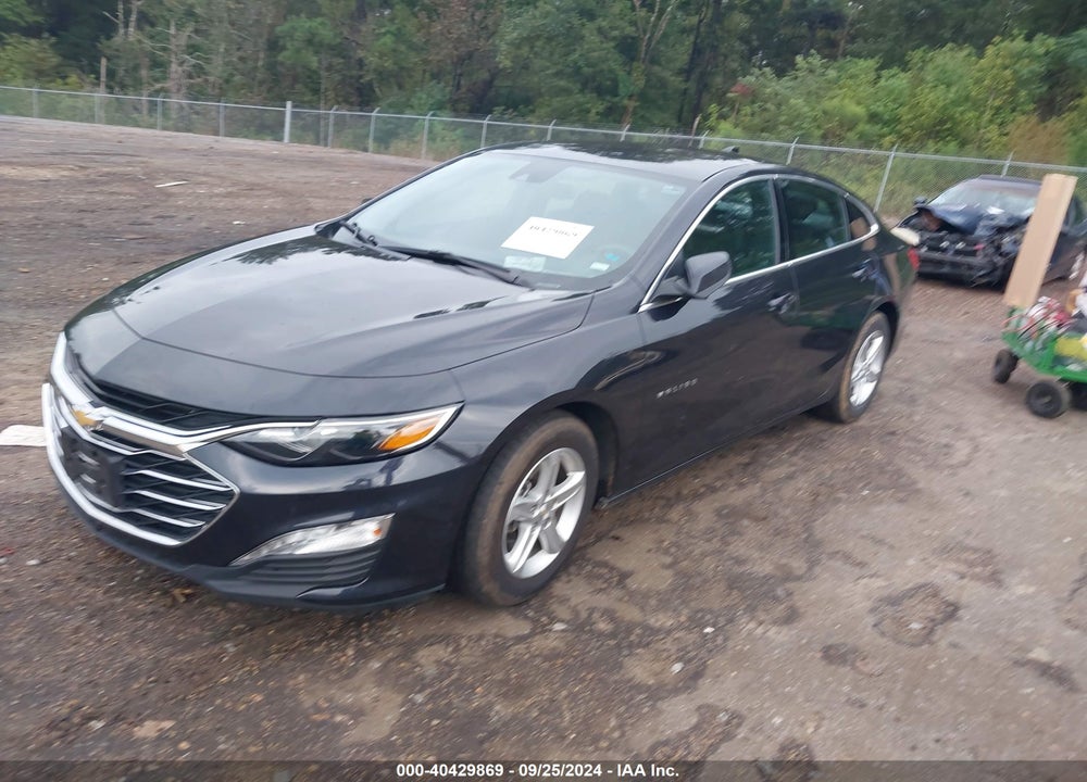 2023 CHEVROLET MALIBU FWD 1LT VIN: 1G1ZD5ST3PF181014