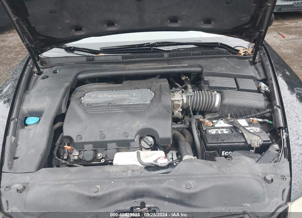 2005 ACURA TL VIN: 19UUA66295A042793