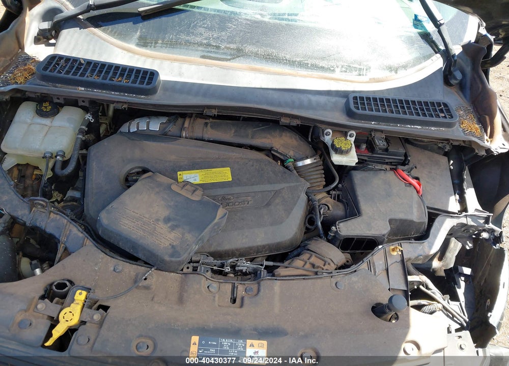 2014 FORD ESCAPE SE VIN: 1FMCU0GX5EUA63479