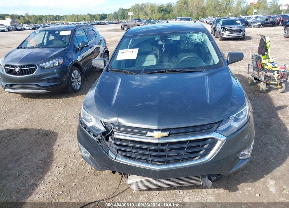2019 CHEVROLET EQUINOX LS VIN: 2GNAXHEV6K6236379
