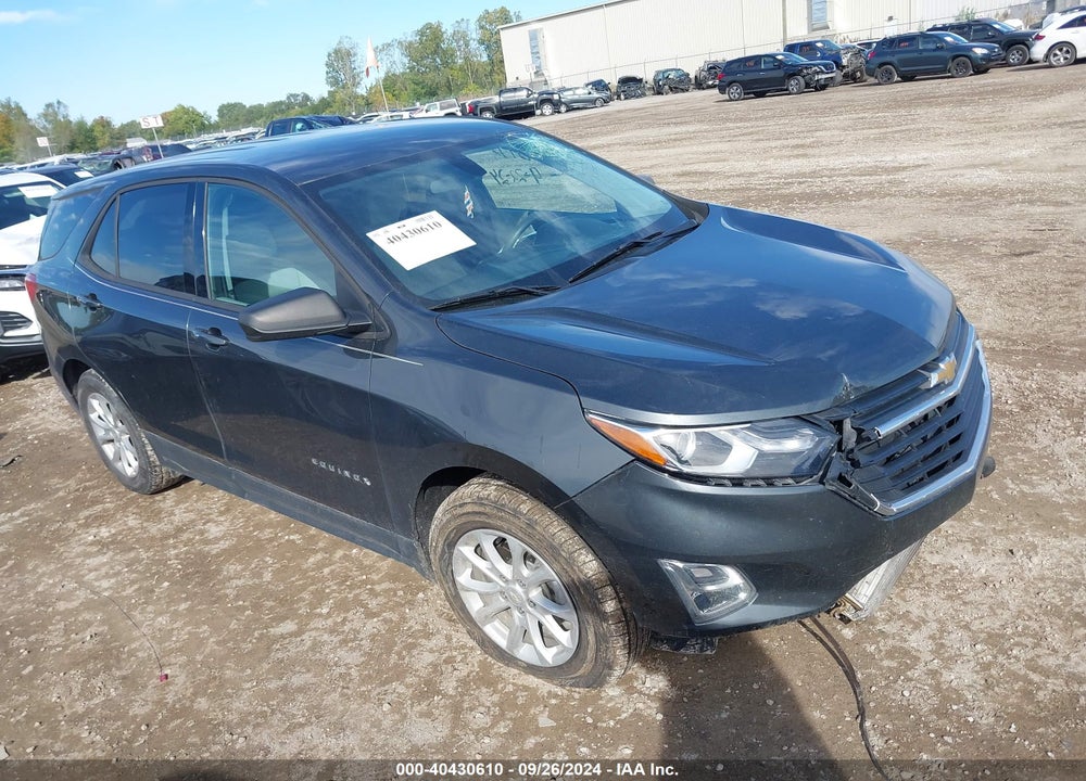 2019 CHEVROLET EQUINOX LS VIN: 2GNAXHEV6K6236379