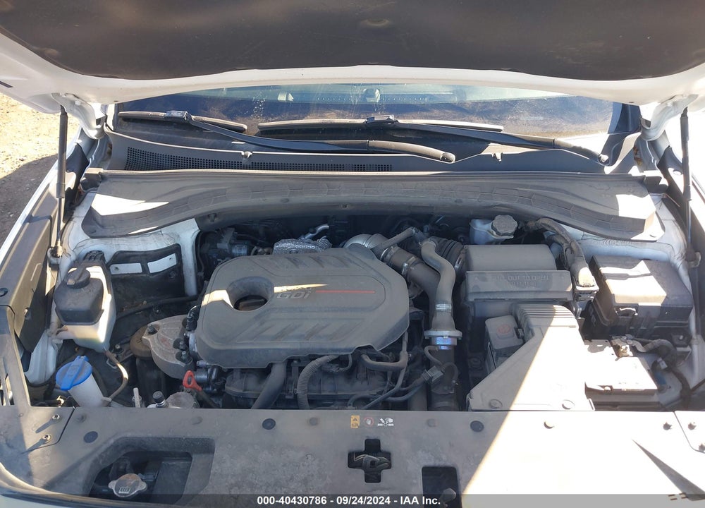2019 HYUNDAI SANTA FE LIMITED 2.0T VIN: 5NMS5CAA7KH015097