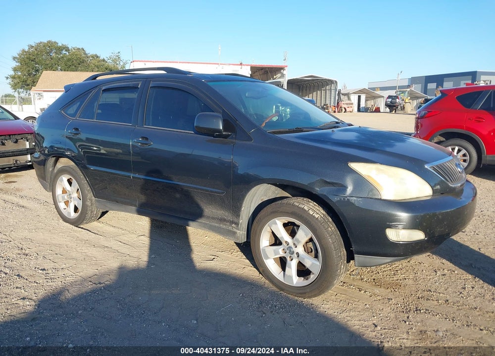 2004 LEXUS RX 330 VIN: JTJGA31U440021242