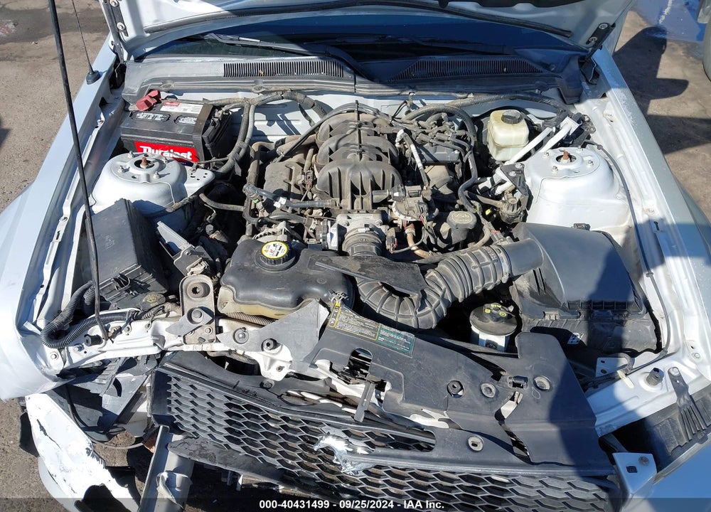2006 FORD MUSTANG V6 VIN: 1ZVFT80NX65218919