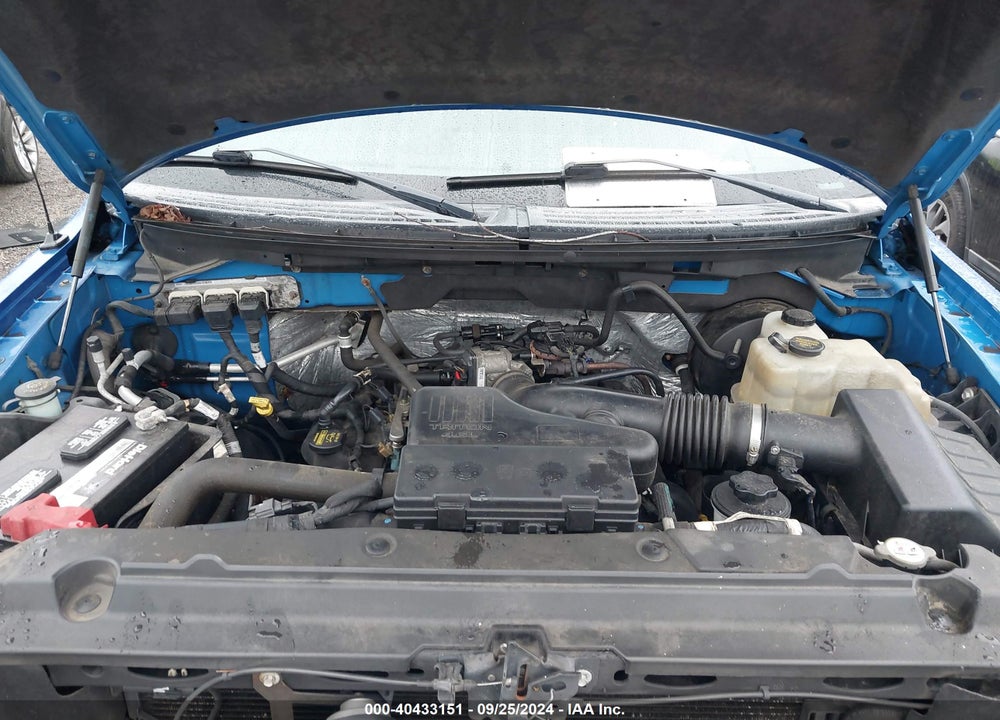 2009 FORD F-150 XL/XLT VIN: 1FTRW12W39FA11159