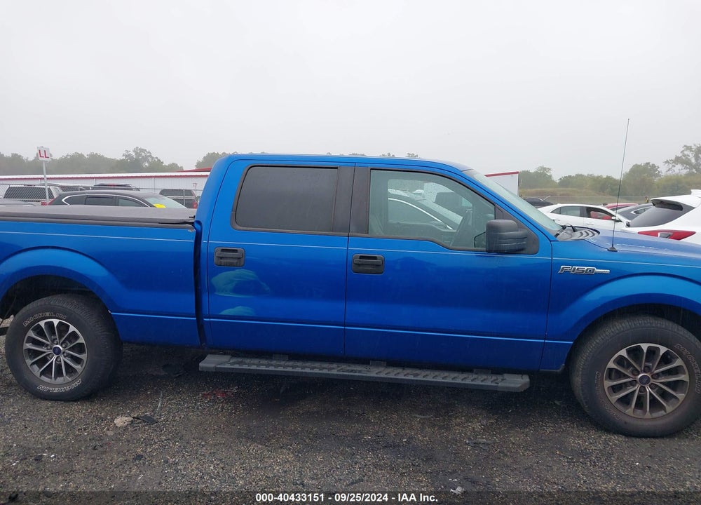 2009 FORD F-150 XL/XLT VIN: 1FTRW12W39FA11159
