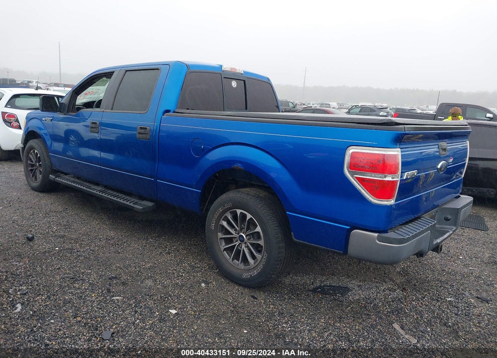 2009 FORD F-150 XL/XLT VIN: 1FTRW12W39FA11159