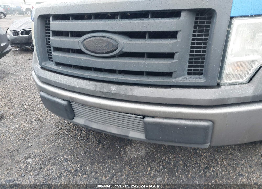 2009 FORD F-150 XL/XLT VIN: 1FTRW12W39FA11159