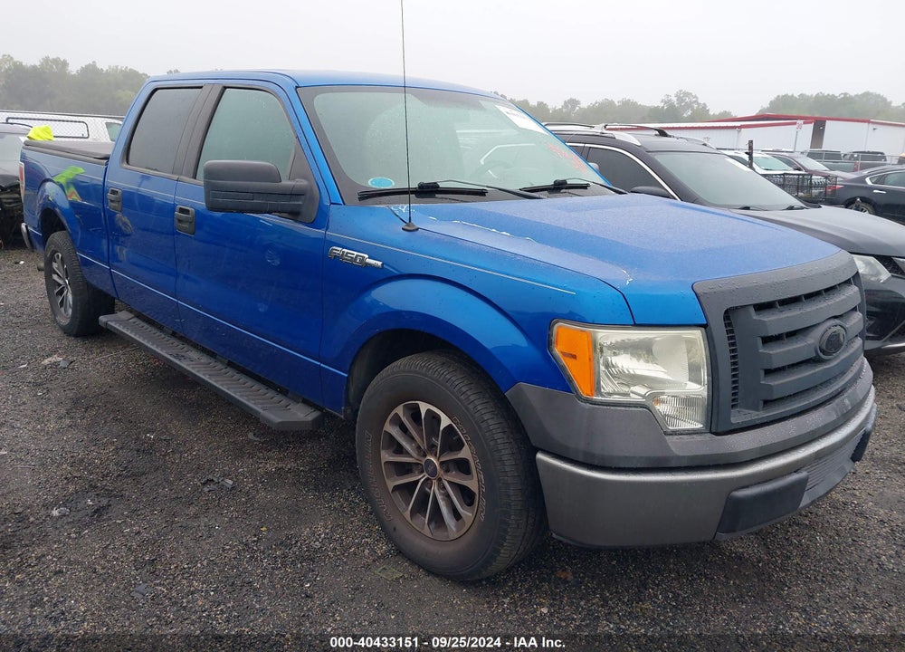2009 FORD F-150 XL/XLT VIN: 1FTRW12W39FA11159