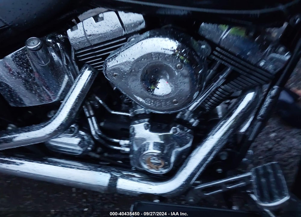 2009 HARLEY-DAVIDSON FLSTC VIN: 1HD1BW5149Y068432