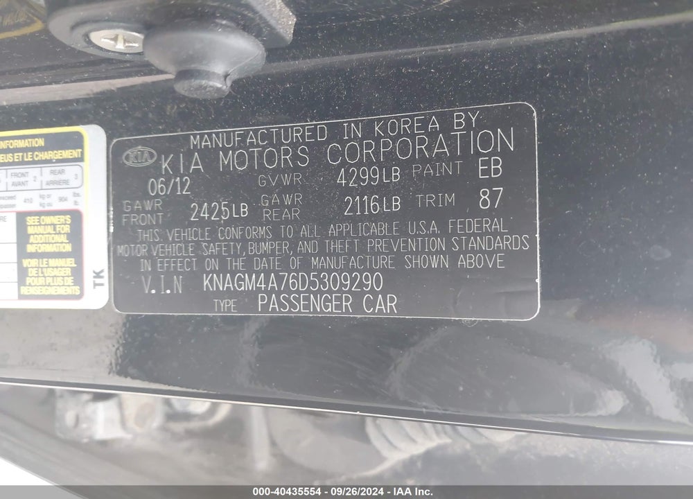 2013 KIA OPTIMA LX VIN: KNAGM4A76D5309290