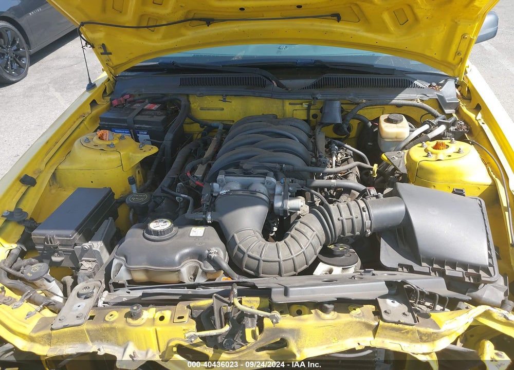 2005 FORD MUSTANG GT DELUXE/GT PREMIUM VIN: 1ZVHT82H455141947