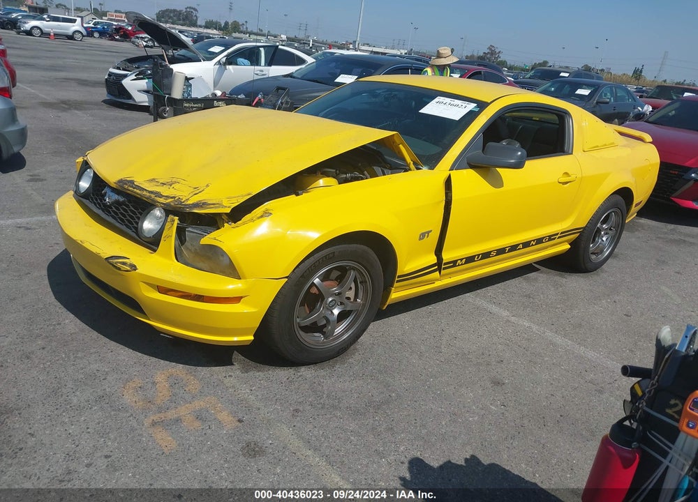 2005 FORD MUSTANG GT DELUXE/GT PREMIUM VIN: 1ZVHT82H455141947