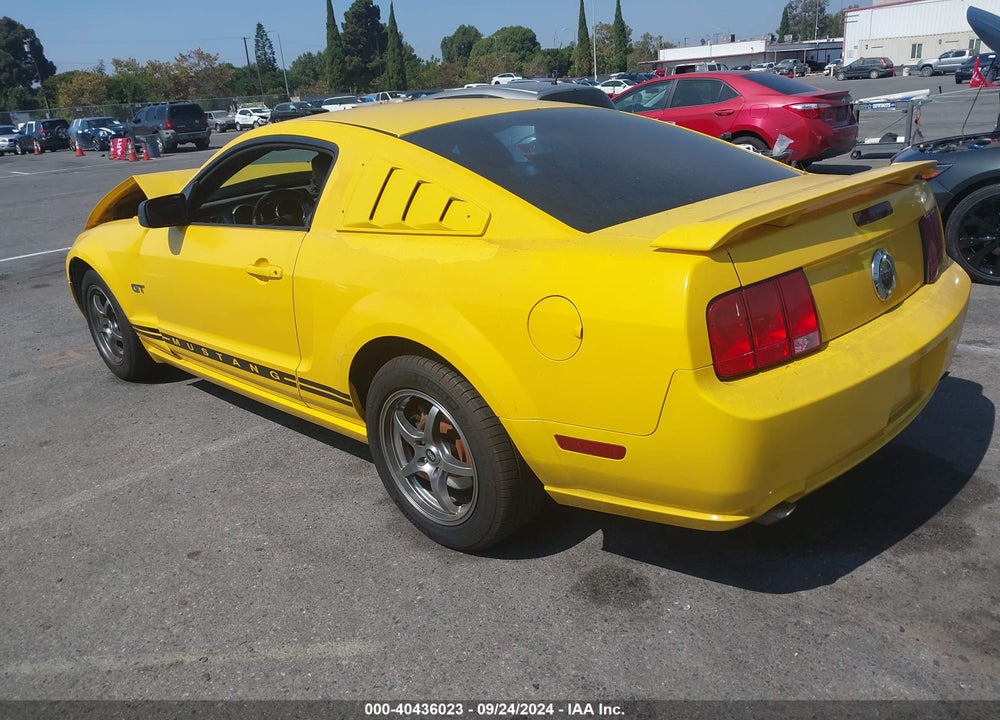 2005 FORD MUSTANG GT DELUXE/GT PREMIUM VIN: 1ZVHT82H455141947