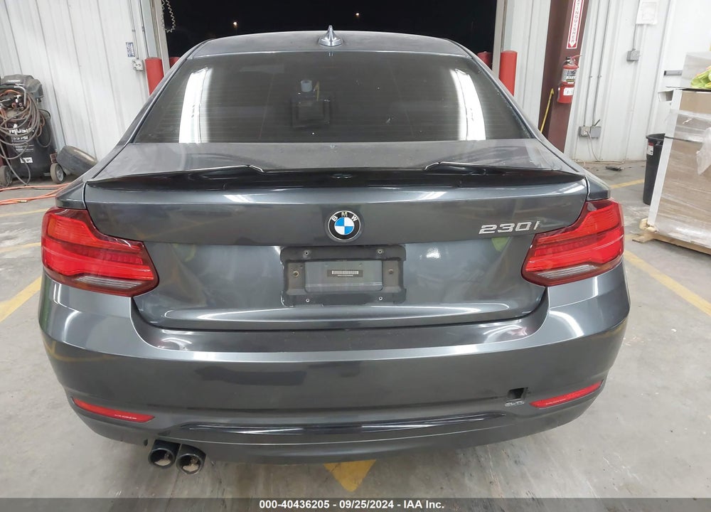 2018 BMW 230I VIN: WBA2J1C52JVD09542
