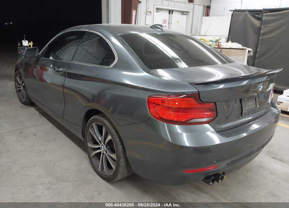 2018 BMW 230I VIN: WBA2J1C52JVD09542