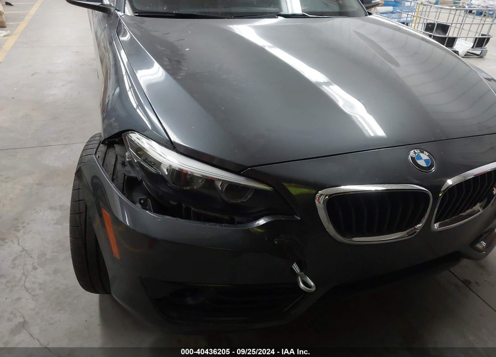2018 BMW 230I VIN: WBA2J1C52JVD09542